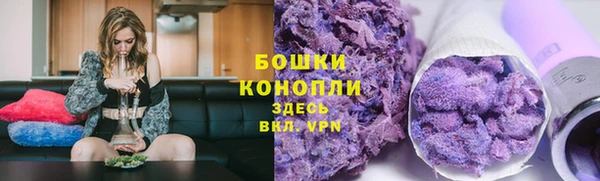 apvp Белокуриха