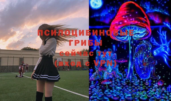 apvp Белокуриха