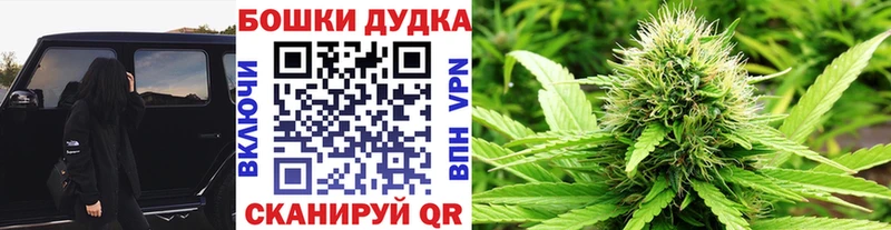 Канабис планчик  наркота  Иноземцево 